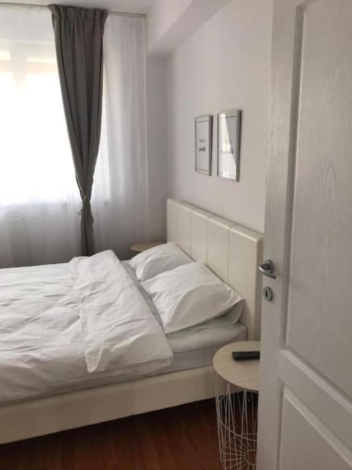 Joy Victoriei 7e-30 2 Appartement